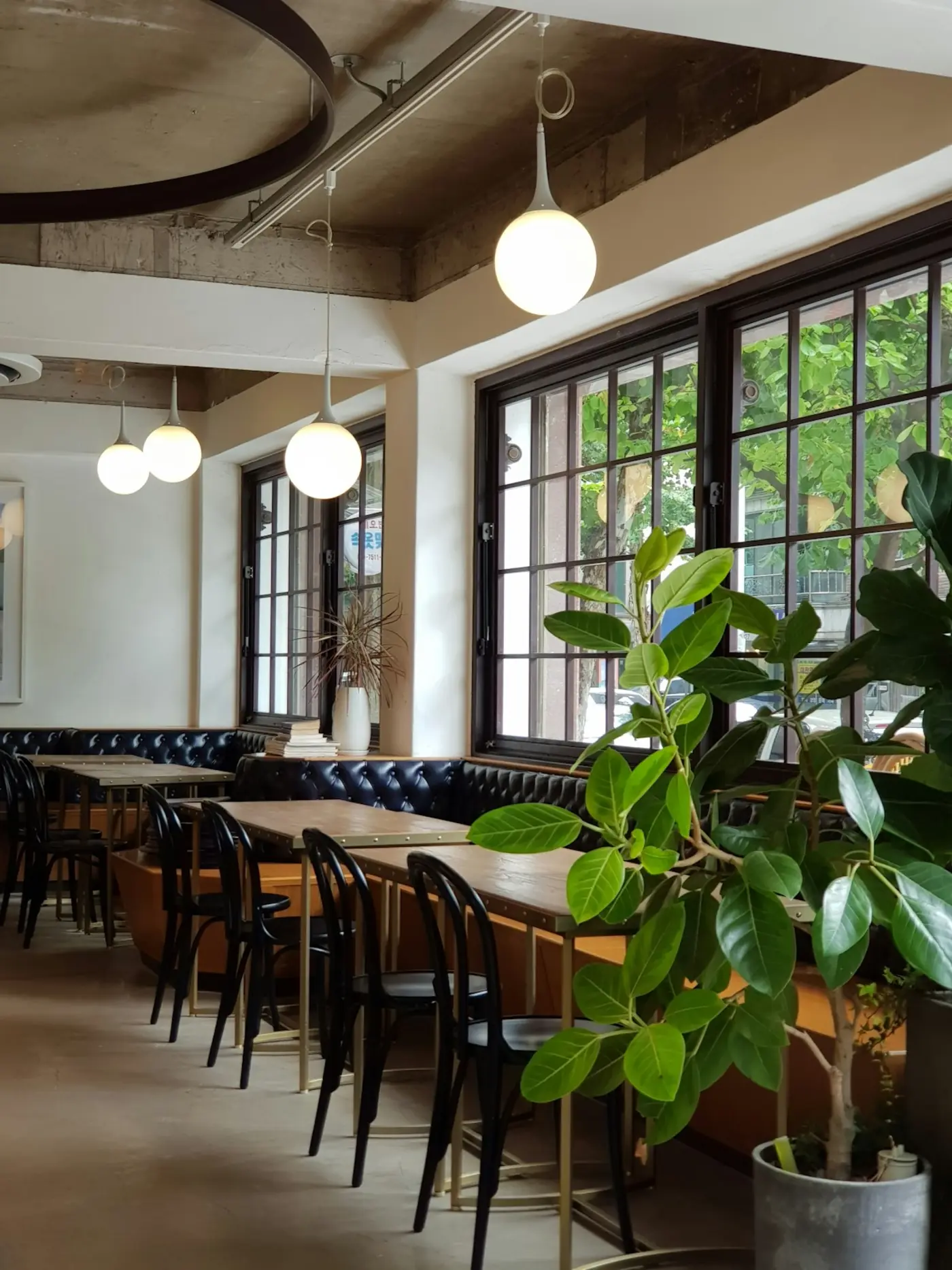 Salón con mesas de madera, plantas y luz natural